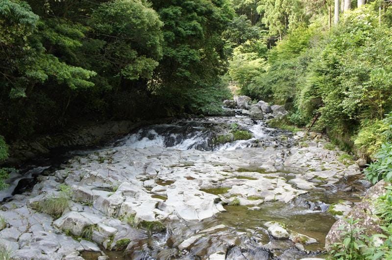 DSC02791.JPG DSC02791.JPG