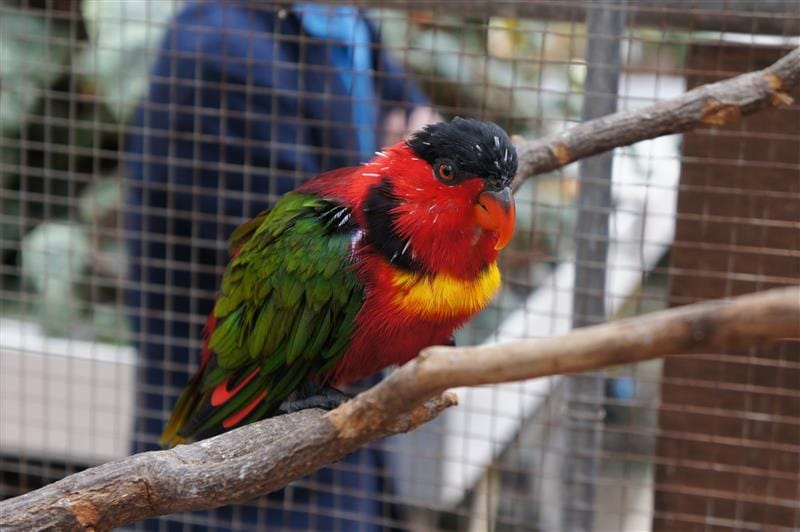 DSC02717.JPG DSC02717.JPG