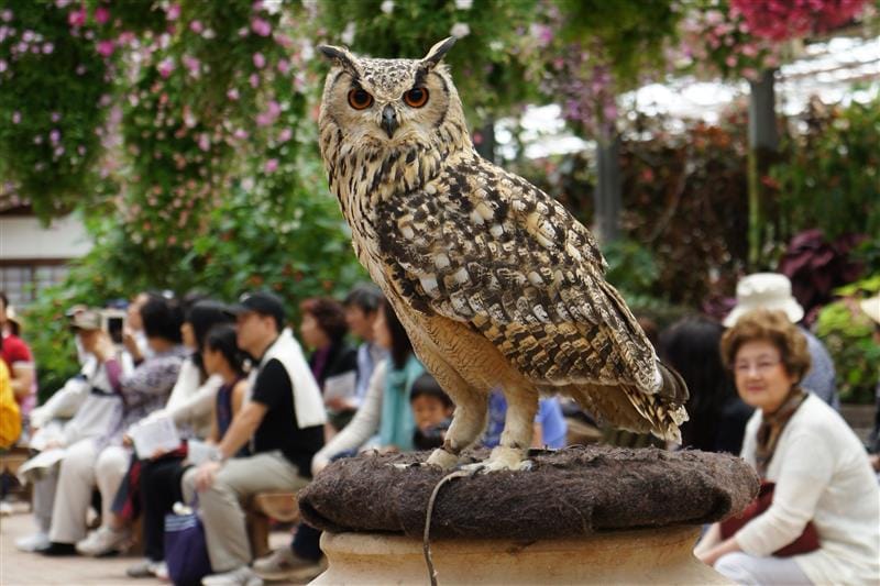 DSC02622.JPG DSC02622.JPG