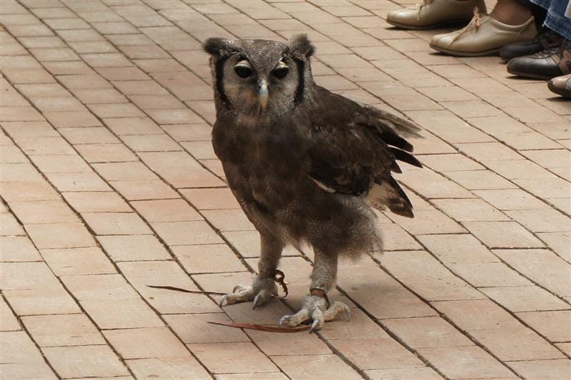 DSC02689.JPG DSC02689.JPG