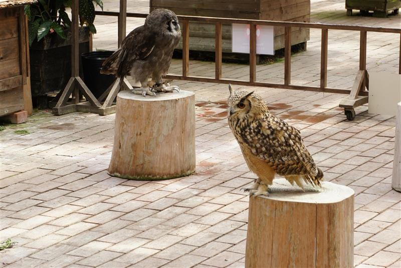 DSC02610.JPG DSC02610.JPG