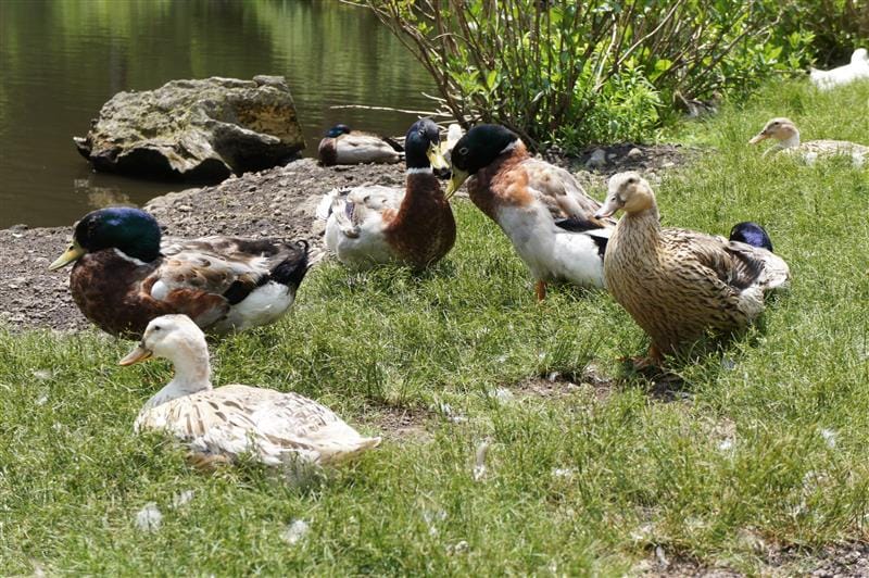 DSC02724.JPG DSC02724.JPG