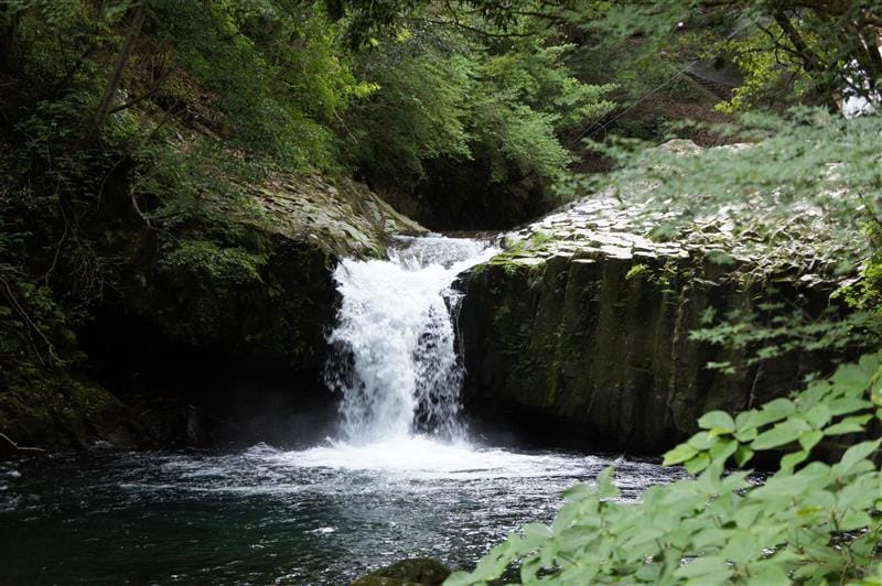 DSC02817.JPG DSC02817.JPG