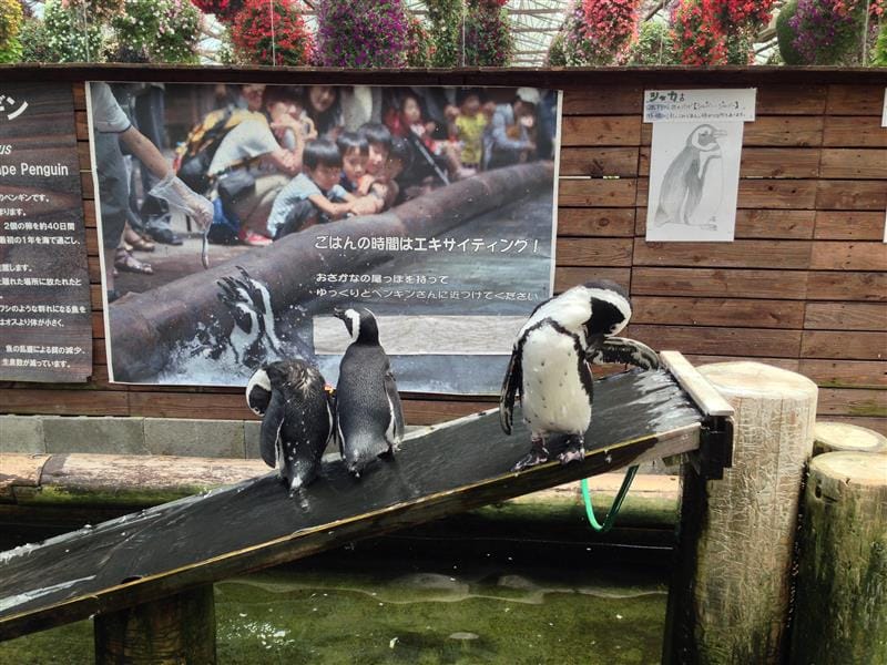 DSC02755.JPG DSC02755.JPG