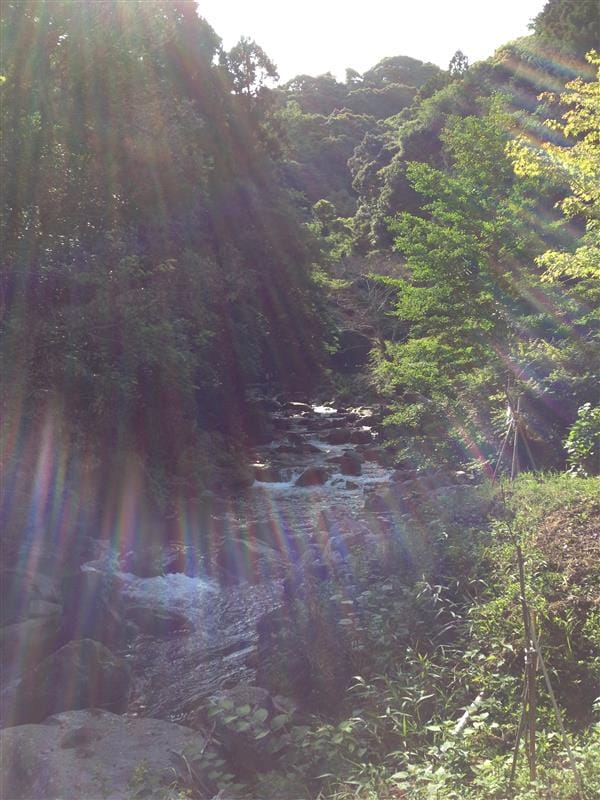 DSC02783.JPG DSC02783.JPG