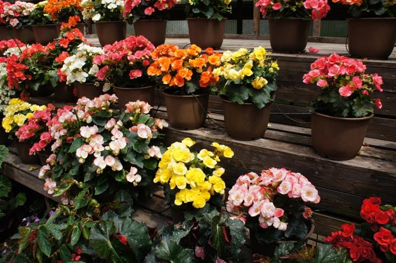 DSC02609.JPG DSC02609.JPG