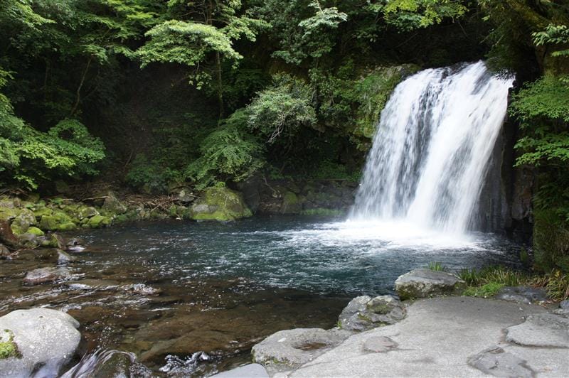 DSC02804.JPG DSC02804.JPG