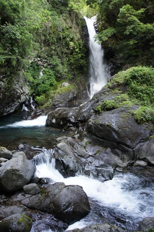 DSC02835.JPG DSC02835.JPG