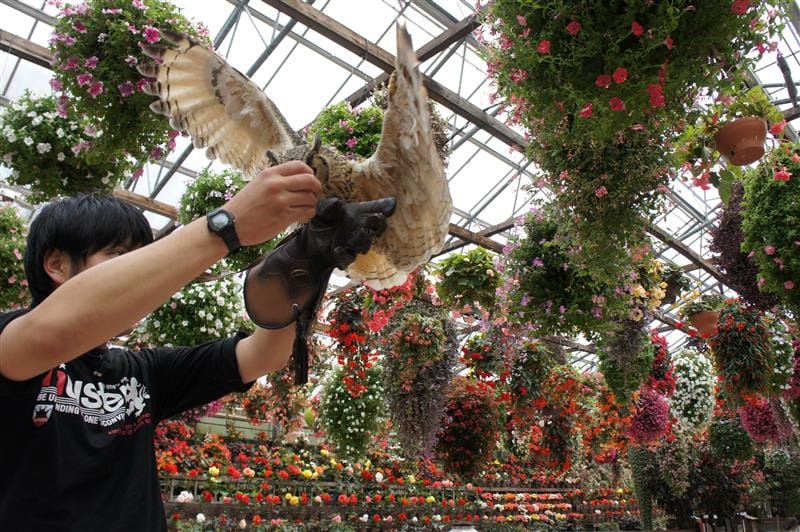 DSC02625.JPG DSC02625.JPG