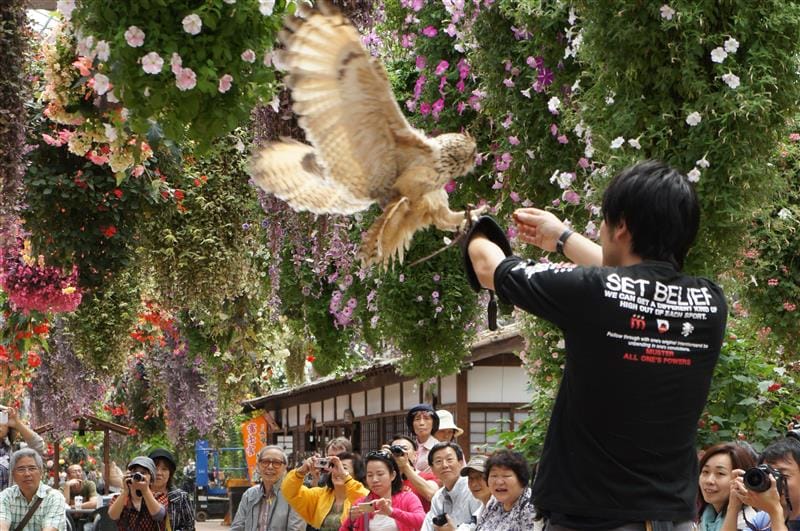 DSC02644.JPG DSC02644.JPG