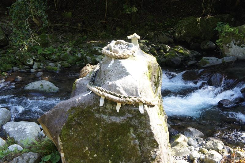 DSC02800.JPG DSC02800.JPG