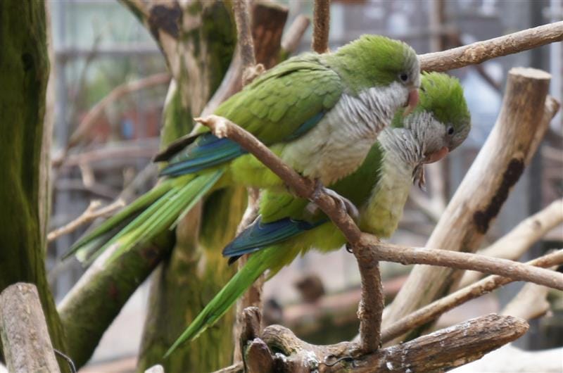 DSC02707.JPG DSC02707.JPG