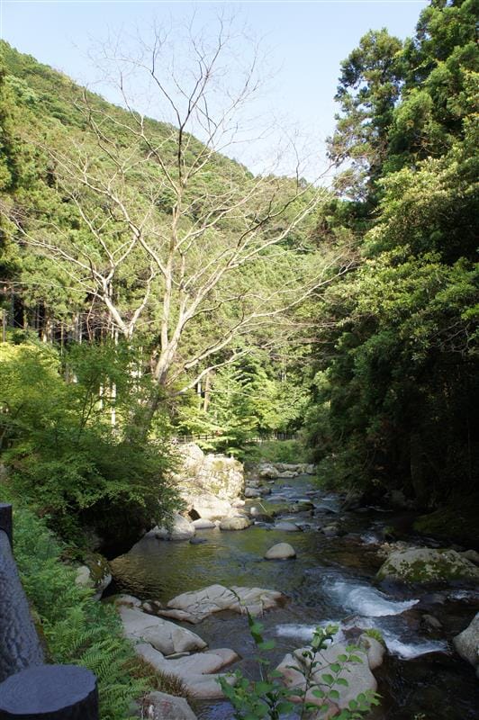 DSC02851.JPG DSC02851.JPG