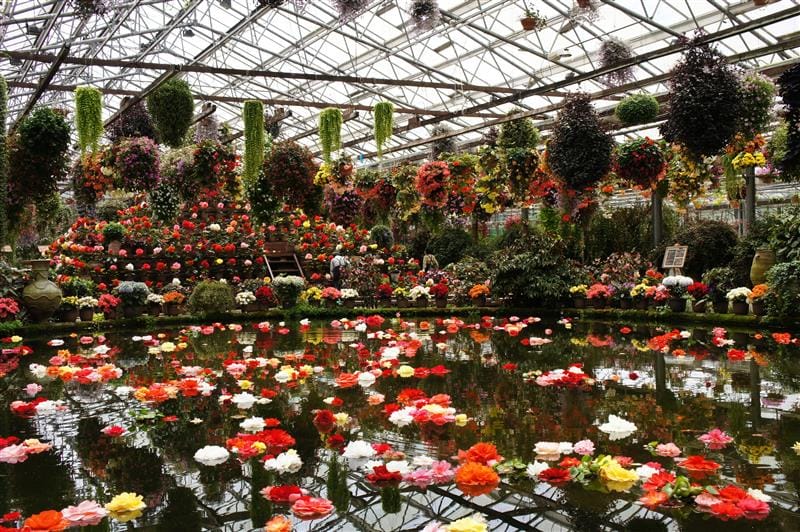 DSC02606.JPG DSC02606.JPG