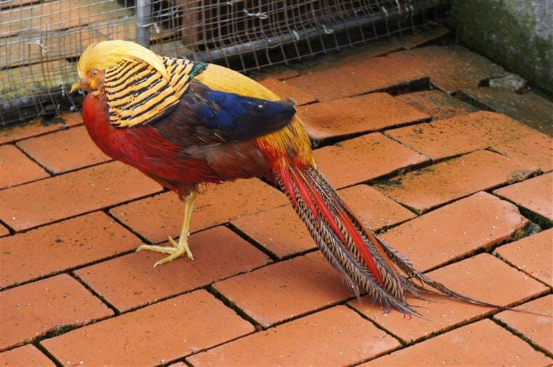 DSC02712.JPG DSC02712.JPG