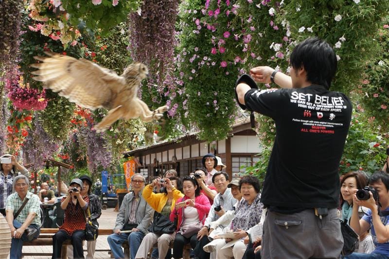 DSC02642.JPG DSC02642.JPG