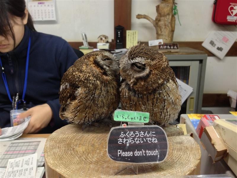 DSC02756.JPG DSC02756.JPG