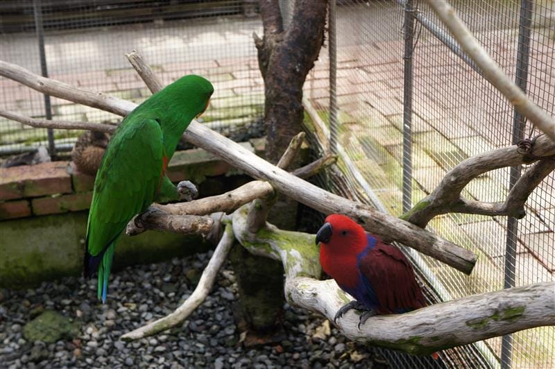 DSC02714.JPG DSC02714.JPG