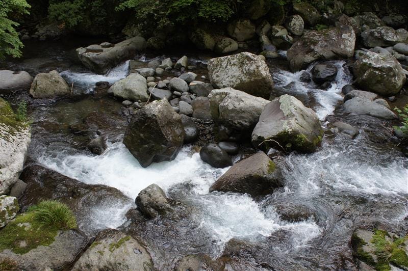 DSC02796.JPG DSC02796.JPG