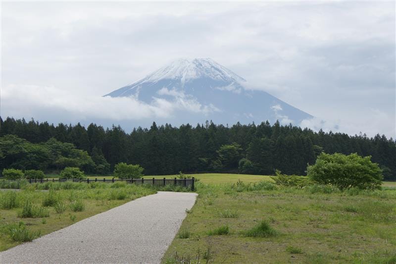 DSC02581.JPG DSC02581.JPG