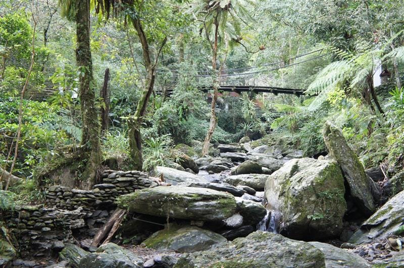 DSC05397.JPG DSC05397.JPG