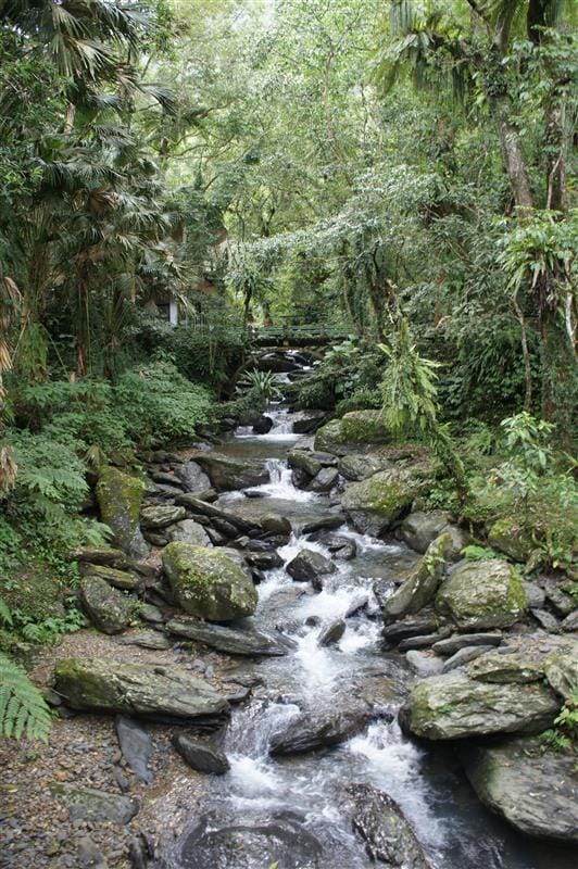 DSC05398.JPG DSC05398.JPG