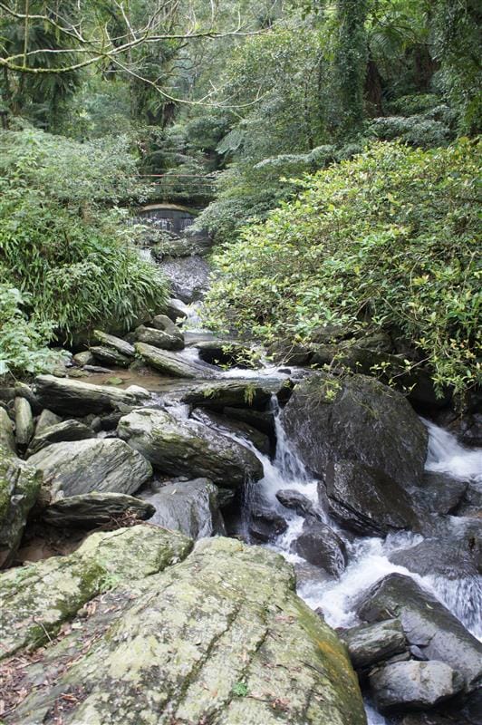 DSC05403.JPG DSC05403.JPG