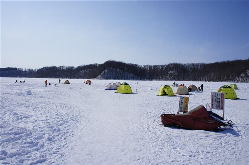 DSC05447.JPG DSC05447.JPG