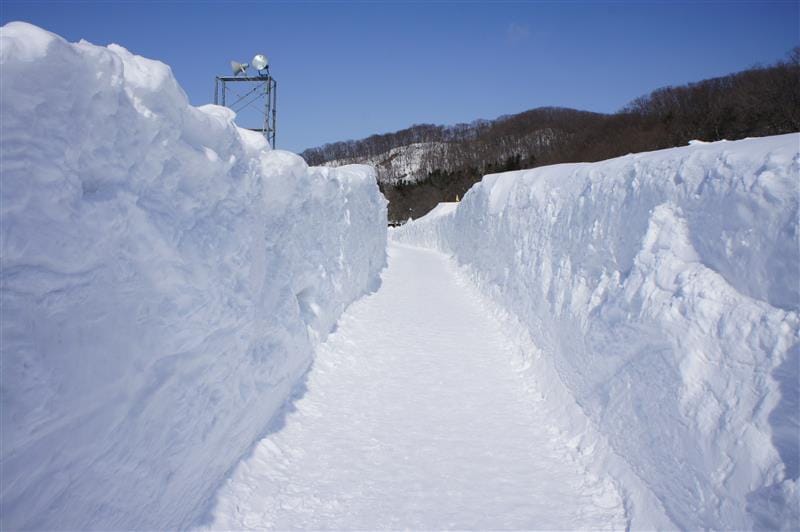 DSC05461.JPG DSC05461.JPG