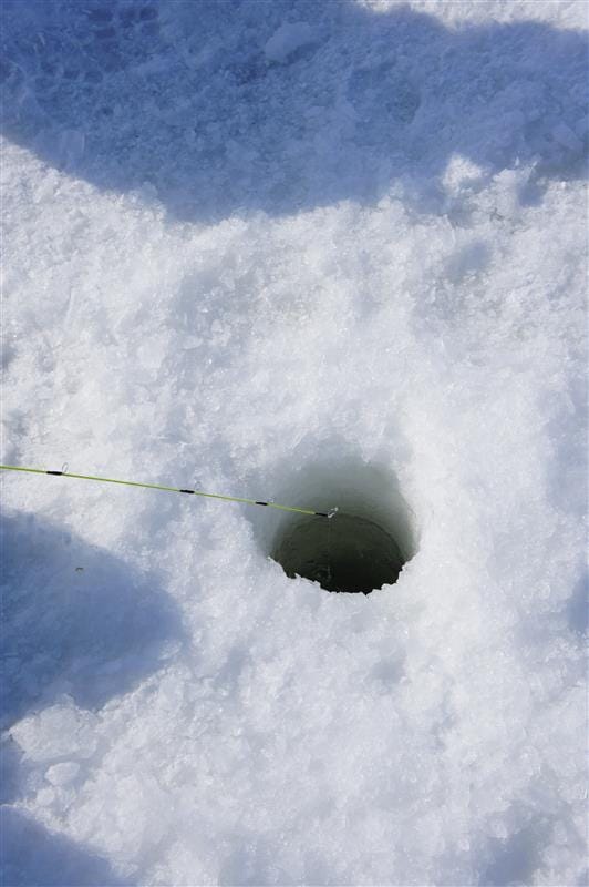 DSC05448.JPG DSC05448.JPG