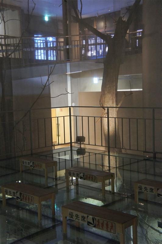 DSC05362.JPG DSC05362.JPG