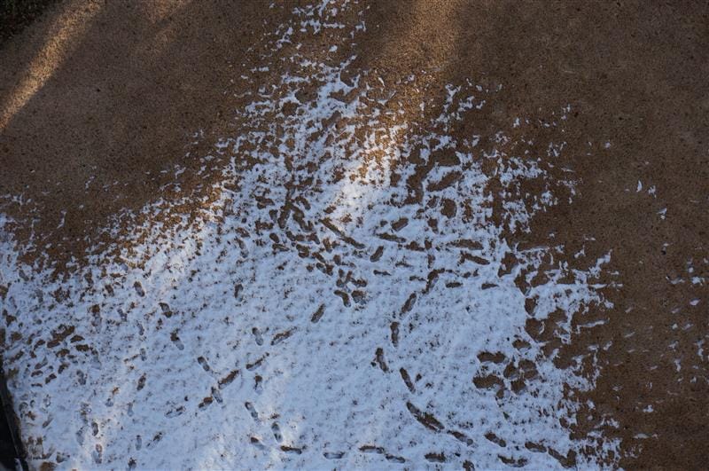 DSC01370.JPG DSC01370.JPG