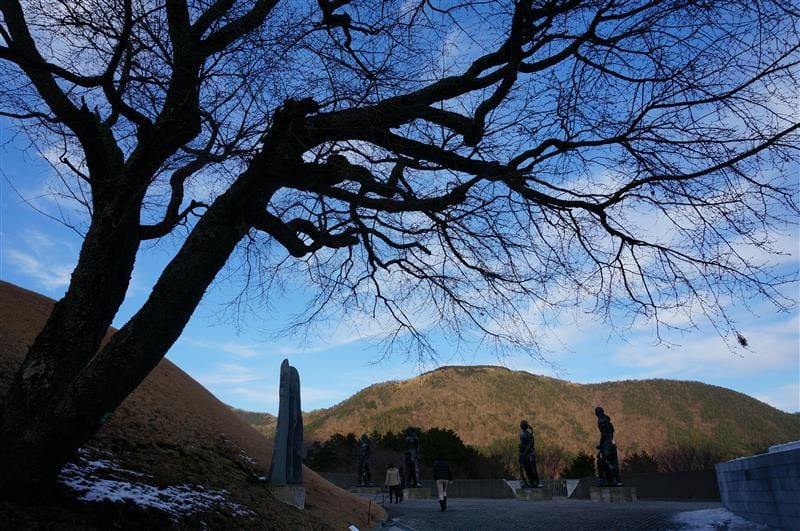 DSC01489.JPG DSC01489.JPG