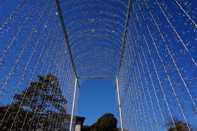 DSC01983.JPG DSC01983.JPG