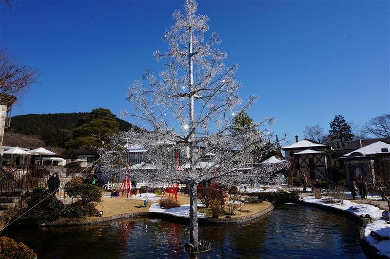 DSC01960.JPG DSC01960.JPG