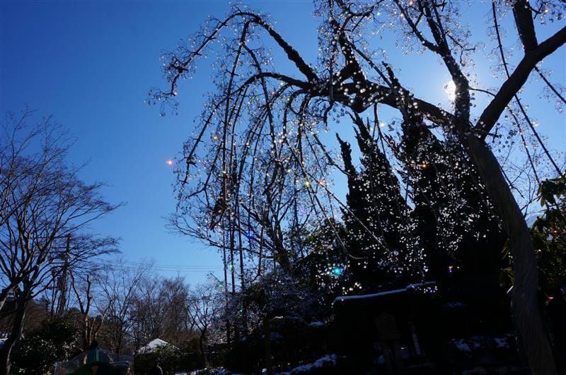 DSC01871.JPG DSC01871.JPG