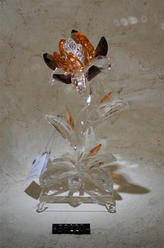 DSC01948.JPG DSC01948.JPG