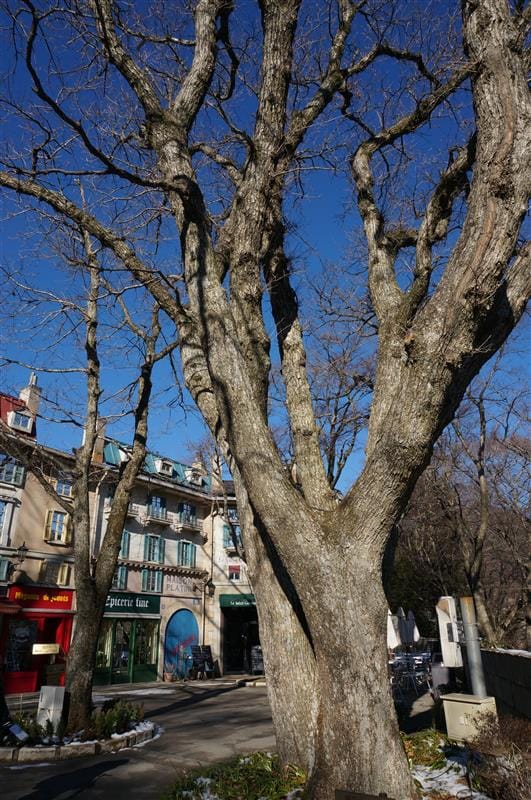 DSC01807.JPG DSC01807.JPG