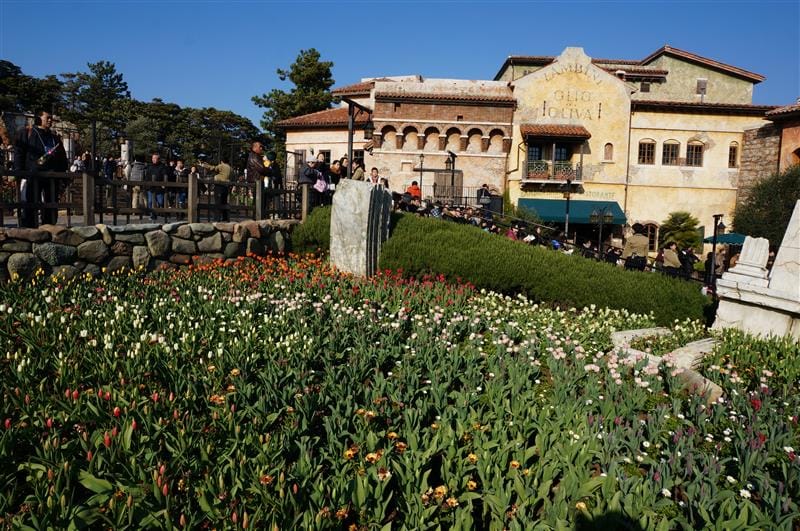 DSC02395.JPG DSC02395.JPG