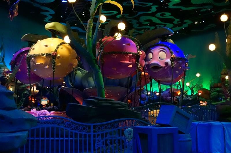 DSC02619.JPG DSC02619.JPG