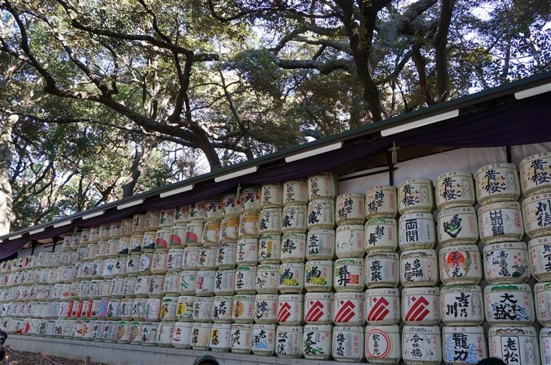 DSC02839.JPG DSC02839.JPG