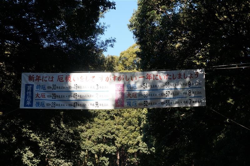 DSC02842.JPG DSC02842.JPG