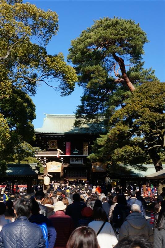 DSC02857.JPG DSC02857.JPG