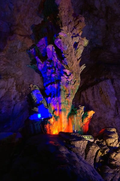 DSC08141.JPG DSC08141.JPG