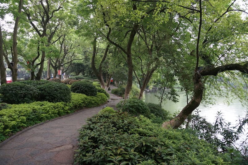 DSC07954.JPG DSC07954.JPG