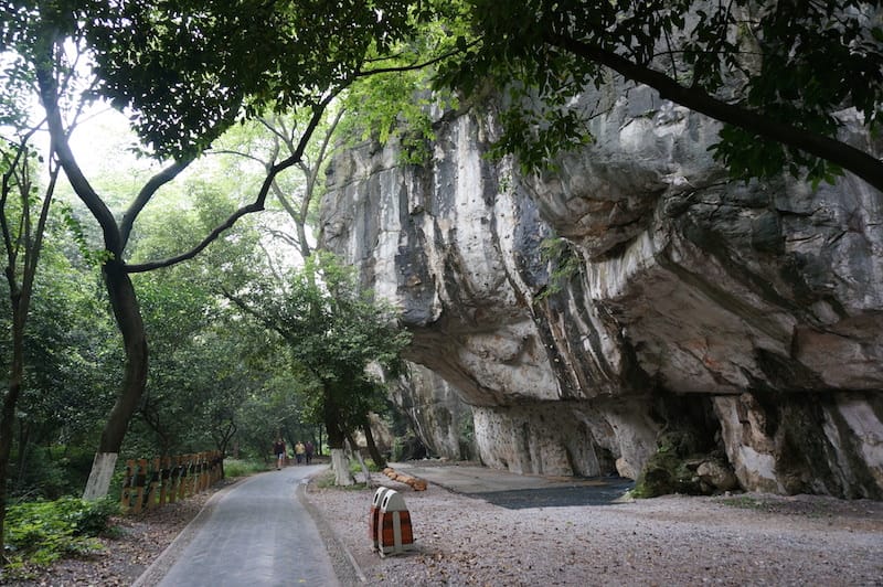 DSC08020.JPG DSC08020.JPG