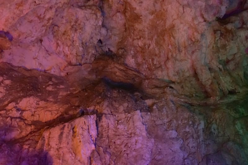 DSC08130.JPG DSC08130.JPG