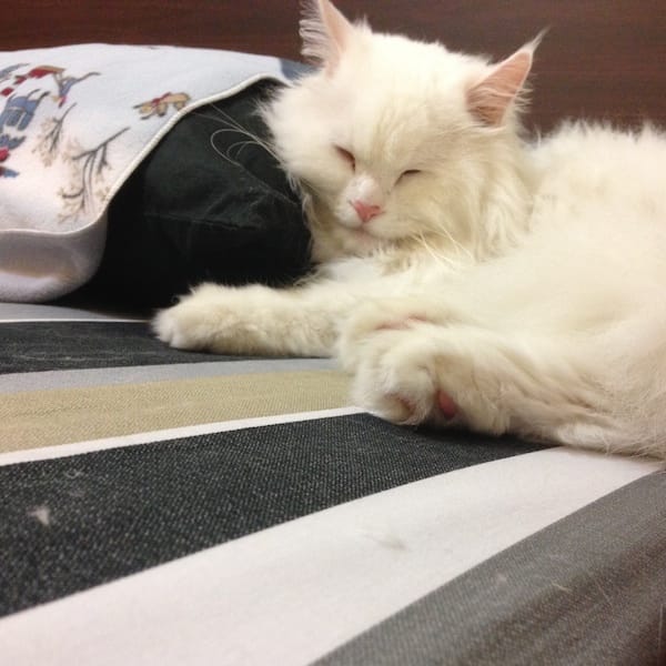 IMG_7783.jpg IMG_7783.jpg