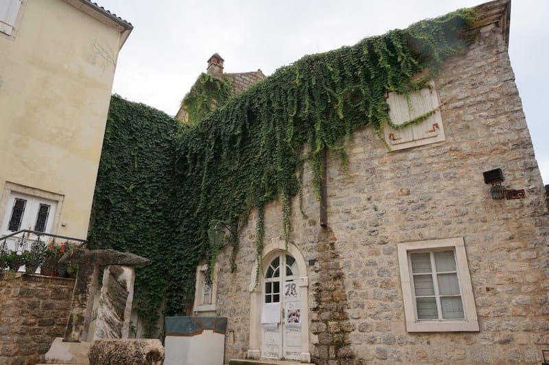 DSC04726.JPG DSC04726.JPG