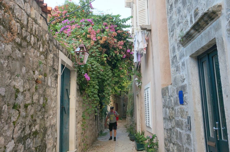 DSC06282.JPG DSC06282.JPG